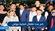 كم عدد اطفال انجلينا جولي