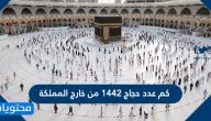 كم عدد حجاج 1442 من خارج المملكة
