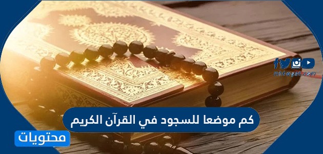 كم موضعا للسجود في القرآن الكريم