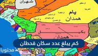 كم يبلغ عدد سكان قحطان