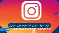 كيف اشوف ستوري الانستقرام بدون ما يدري