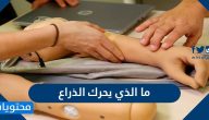ما الذي يحرك الذراع