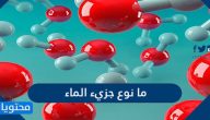 ما نوع جزيء الماء