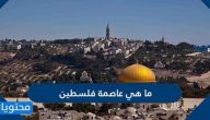 ما هي عاصمة فلسطين