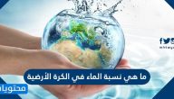 ما هي نسبة الماء في الكرة الأرضية