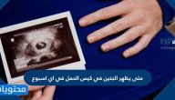 متى يظهر الجنين في كيس الحمل في اي اسبوع