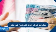 هل تم صرف اعانه للباحثين عن عمل
