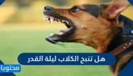 هل تنبح الكلاب ليلة القدر وما هي العلامات الصحيحة لليلة القدر