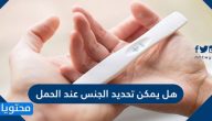 هل يمكن تحديد الجنس عند الحمل