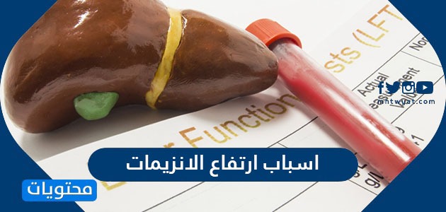 اسباب ارتفاع الإنزيمات وما هي أعراض ارتفاع انزيمات الكبد وطرق العلاج موقع محتويات