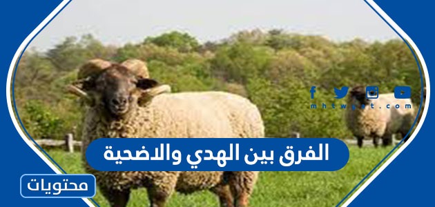 الفرق بين الهدي والاضحية موقع محتويات