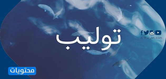 معنى اسم توليب وأصل التسمية وحكمها في الإسلام وصفات حاملة الاسم موقع محتويات