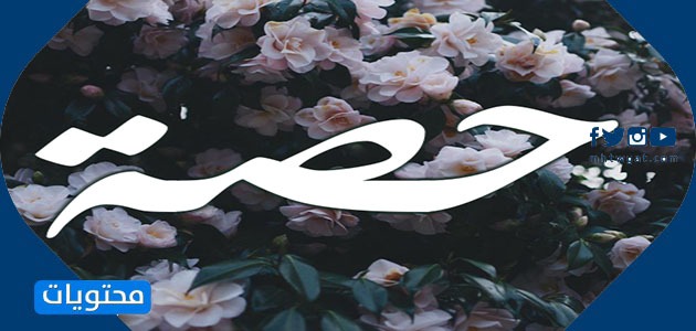 معنى اسم حصه وصفات حاملته وحكم التسمية به في الإسلام موقع محتويات
