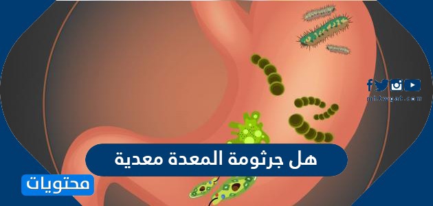 كيف ازيد وزني مع جرثومة المعدة تعرف على طريقة التعامل مع الإصابة جرثومة المعدة مجلة حياة