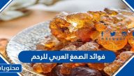 فوائد الصمغ العربي للرحم
