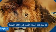 كم يبلغ عدد أسماء الأسد في اللغة العربية