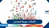 كلمات عربية فصحى ومعانيها وأجمل الكلمات في اللغة العربية الفصحى