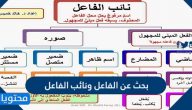 بحث عن الفاعل ونائب الفاعل