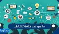 ما هو ضد كلمة تشاطر