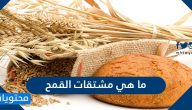 ما هي مشتقات القمح وأنواعه