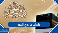كلام عن فضل ذي الحجة