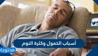 أسباب الخمول وكثرة النوم وطريقة التخلص منها