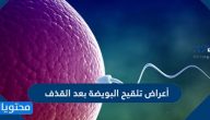 أعراض تلقيح البويضة بعد القذف ونصائح تساعد على الحمل