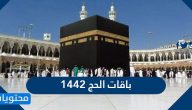 اسعار باقات الحج 1442 / 2021 لحجاج الداخل وطريقة سداد الرسوم