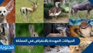 الحيوانات المهددة بالانقراض في المملكة
