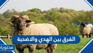 الفرق بين الهدي والاضحية