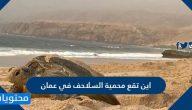اين تقع محمية السلاحف في عمان