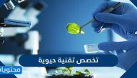 مستقبل ومعلومات حول تخصص تقنية حيوية Biotechnology