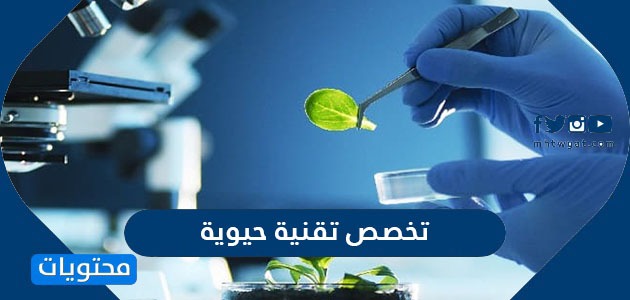 مستقبل ومعلومات حول تخصص تقنية حيوية Biotechnology