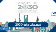 تخصصات رؤية 2030 وأفضل التخصصات لدعم أهداف رؤية المملكة