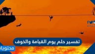تفسير حلم يوم القيامة والخوف