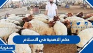 حكم الاضحية في الاسلام