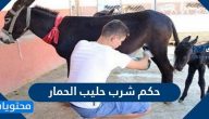 حكم شرب حليب الحمار