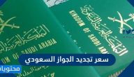 سعر تجديد الجواز السعودي 2021/1443