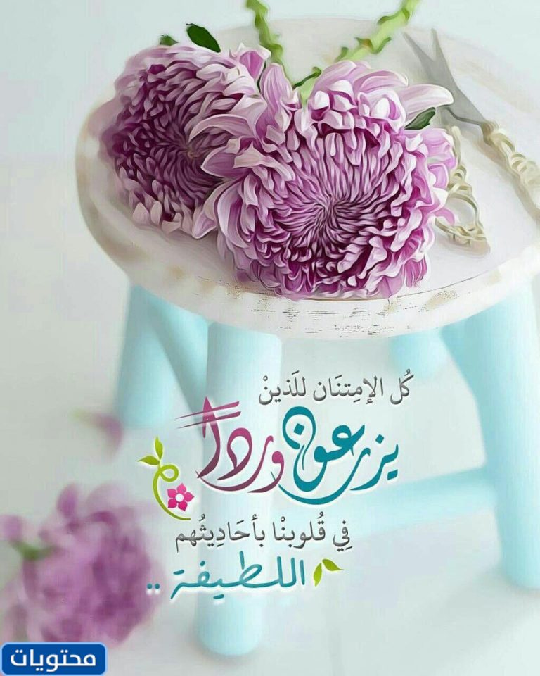 صور ورد 2021 أجمل صور وردود جميلة وجذابة موقع محتويات