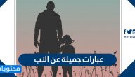 عبارات جميلة عن الاب
