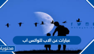 عبارات عن الاب للواتس اب 2025 أجمل صور بمناسبة عيد الأب