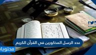 عدد الرسل المذكورين في القرآن الكريم