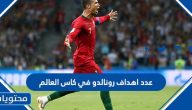 عدد اهداف رونالدو في كاس العالم