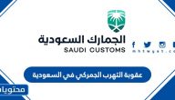 عقوبة التهرب الجمركي في السعودية 1447