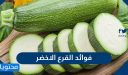 ما هي اهم فوائد القرع الاخضر