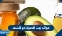 فوائد زيت الأفوكادو للشعر وأضراره وطرق استخدامه على الشعر