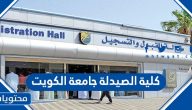 رابط وخطوات التسجيل في كلية الصيدلة جامعة الكويت 2024