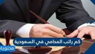 كم راتب المحامي في السعودية