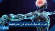 كم عدد الاعصاب الدماغيه في جسم الانسان