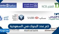 كم عدد البنوك في السعودية المحلية والأجنبية 2025 / 1447